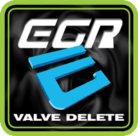 Exhaust Gas Recirculation (EGR) Valve Deletion service.
